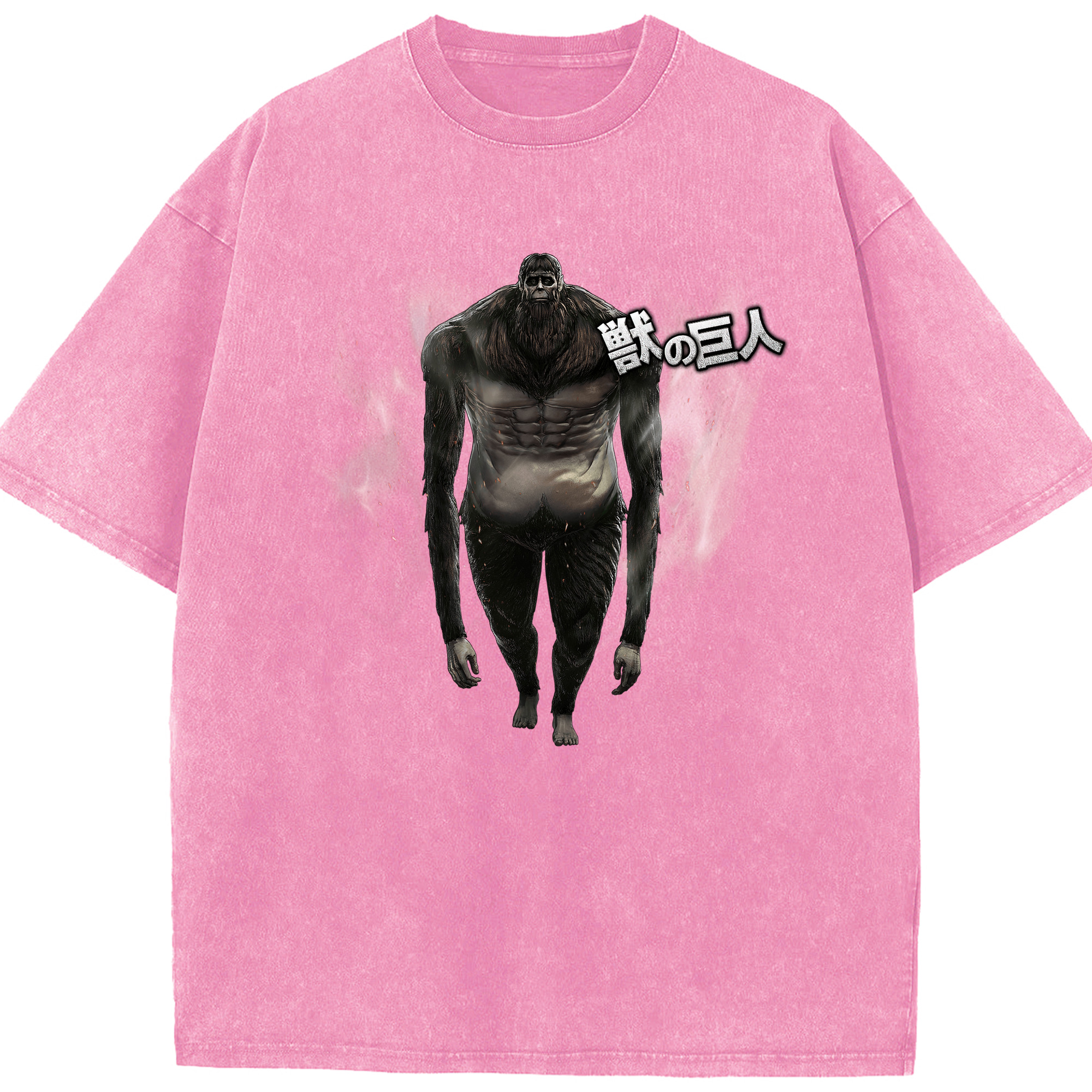 （画像用） 進撃の巨人 Attack on Titan 綿100% ヴィンテージ風 半袖Tシャツ（フロントプリント）
